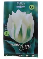 Tulpės Spring Green Flora Elite