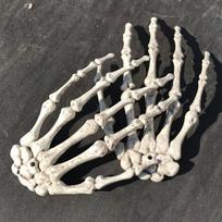 1 pora šiurpių skeletų rankų – Helovino dekoracija