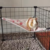 Ice Silk Hamster Triangle Hammock Skin-Friendly Breathable Cooling Hanging Bed Comfortable Double-sided Hanging Cage House (White,S) balta