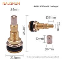 Full Copper Tubeless Tire Valve for Engineering, Road Roller, Loader, and Agricultural Vehicles beige
