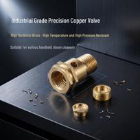 High-Pressure Steam Cleaner Nozzle with Copper Valve for Oil Stain Removal EU Standard gray