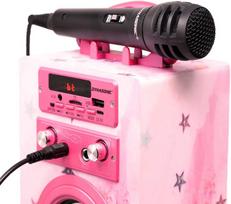 Dynasonic karaoke su 2 mikrofonais Bluetooth Usb Sd vaikams 5-13 metų