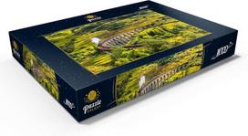 Mypuzzle glenfinnano geležinkelio viadukas su jakobito garo traukiniu, Škotija - premium 1000 dalių dėlionė - mypuzzle special collection by puzzle galaxy