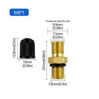 With Cap Tire Valve Stems 1/8 NPT 1/4 NPT M8x1 Tank Air Valve Leak‑Proof Inflate Valve M8