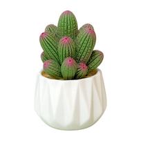 Mini Artificial Cactus and Bonsais Figure Resins Succulent Faux Potted Plant Figurine for Home and Office Desktop Decors D brown
