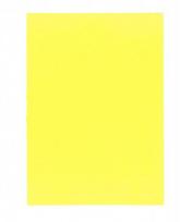 Spalvotas popierius 80g A4/100l Fluo geltonas