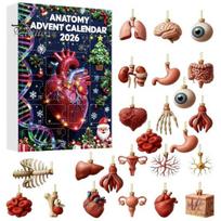 Anatomijos Advento Kalendorius Anatomijos Kalendoriai 2026, 24 Dienos Organų Papuošalai Kalėdų Laukimo Kalendorius, 2D Medicinos Mokyklos Baigimo Dovana A black