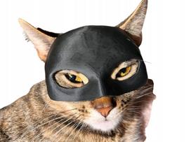 Katinų kaukė BATMAN BAT-CAT Helovinui