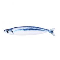 Žaislinė sardinės formos žuvelė su katžole katėms 20 cm THE ZOO