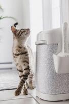 Katės tualeto kibiro LitterLocker dangtis