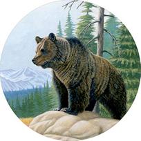 Grizzly Bear on Rock Mountain View Spare Tire Cover Premium Polyester Custom Fit Wheel Protector 14inch