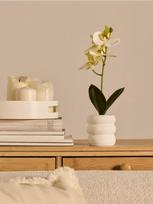 Sinsay - Dekoratyvinis augalas vazone – orchidėja - balta