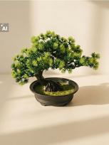 Sinsay - Dekoratyvinis bonsai augalas vazonėlyje - žalia