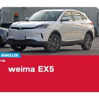 MudFlaps For Weltmeister Weima EX5 EX5-Z EX 5 PRO Mudguards Mud Flaps Splash Guards Front Rear Wheel Fender Car Accessories 4Pcs weima EX5-Z black