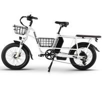 Fat Tire Adult E-Bike PHILODO Traveller 1000W Peak Motor Dual 48V17.5Ah Battery 20  All Terrain 3 Riding Modes  Electric Bike