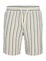 Jack & Jones Plus Kelnės 'JPSTJAIDEN' kremo / pastelinė žalia / juoda / balta