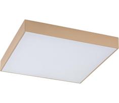 Rabalux 77000 - LED vonios kambario lubinis šviestuvas TARTU 24W/230V 2800/4000/6000K IP44