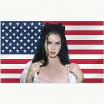 Lana Del Rey Flag  SingleSided Indoor Outdoor Decor Banner for Dorm Travel Event Holiday Guys Room Flat Print 100X70CM black