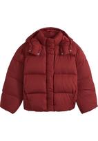 LEVI'S ® Žieminė striukė 'TATE' tamsiai raudona
