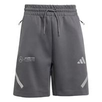 Adidas X Mercedes-Benz Collaboration Mer Sil Sho Y Motorsport Comfortable Casual Letter Lace Shorts Kids shorts JW8511 L gray