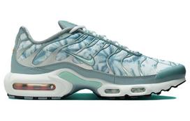 Nike Air Max Plus 'Origins Waterway' FV0394-300 38 gray