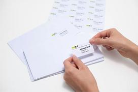 No Name HERMA Address labels Premium A4 99.1x33.8 mm white paper matt 1600 pcs.