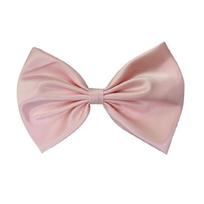 Ribbon Bow Choker Collar Neckband Bow Neckwear Fashion Bowknot Neck Accessorise 1 rožinė