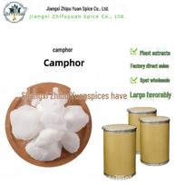 Mentolis ir sintetinis borneolio kamparas Kosmetinė žaliava Camphor 1kg white