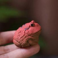 Creative Little Horned Frog Purple Clay Tea Pet Fish Tank Landscaping Decoration Tea Table Decoration Tea Pets Ornaments black