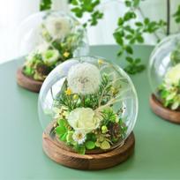 Teachers' Day Gift Eternal Flower Dandelion Glass Cover Rose Box Simulation Gypsy Star Bouquet Preserve Flowers beige