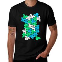 Einstein Aperiodic Monotile Tiling Vintage Math Design on Black Background T-Shirt Quick Dry Tr L brown