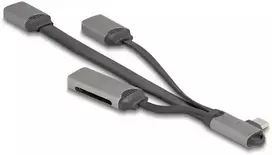 "DELOCK 2 Port USB Hub inklusive SD und Micro SD Card Reader mit USB Type-C Anschluss"