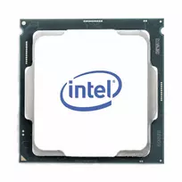 „Xeon E-2324G“ procesorius, 3,1 GHz, 8MB „Smart Cache“