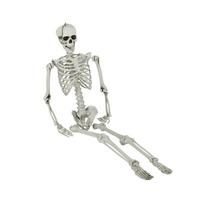Halloween Skeleton Decors Full Body Faux Human Skeleton Decoration Props One Size gray