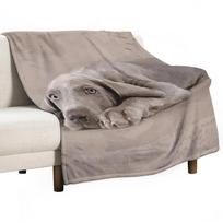 Weimaraner puppy Throw Blanket Breathable Lightweight Blanket for Adults Kids 75x100cm (30x40inch) gray