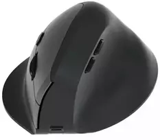 „Equip ergonominė pelė DM 2,4 GHz + BT 6 mygtukai, dešiniarankiams, juoda“