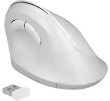 „Delock ergonomiška vertikali USB pelė – bevielė“