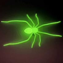 Prank Simulated Glow in The Dark Magnet Cute Lightweight Spider Fridge Magnet Unique Small Size Halloween Magnet Home Decor green