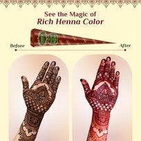 Neeta Natural Henna Mehandi Cone for Hand Designing, Wedding 12 Pcs in 1 Box (Pack of 1) brown