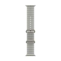 49mm Translucent Grey Ocean Band - Natural Titanium Finish