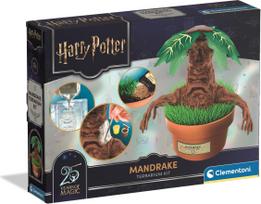 Clementoni - Mandrake - Terrarium Kit (I-19458)