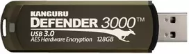 Pendrive iStorage Atmintis USB 128GB 3.2 Gen 1 (3.1 Gen 1) Pilka (KDF3000-128G)