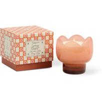 Paddywax Tulip Cactus Flower kvapioji žvakė 155 g