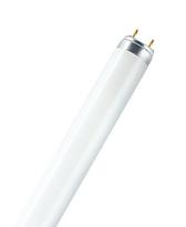 Osram 18W lempa LUMILUX T8, G13, 2700K, 604mm