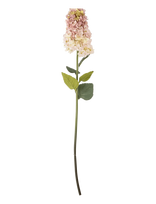 Bloomingville - Hydrangea Stem - Džiovintos gėlės - Rožinė