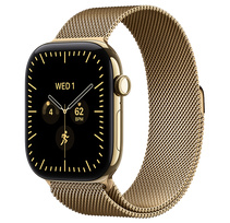 Išmanusis laikrodis Apple Watch Series 12 GPS + Cellular, Titanium Case, Milanese Loop, M/L (46 mm)