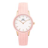 Moteriškas laikrodis DANIEL WELLINGTON DW00100532 (32MM)