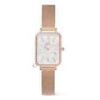 Moteriškas laikrodis DANIEL WELLINGTON DW00100748 (26MM)