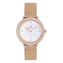 Moteriškas laikrodis DANIEL WELLINGTON DW00100823 (32MM)