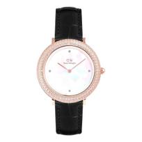 Moteriškas laikrodis DANIEL WELLINGTON DW00100827 (32MM)